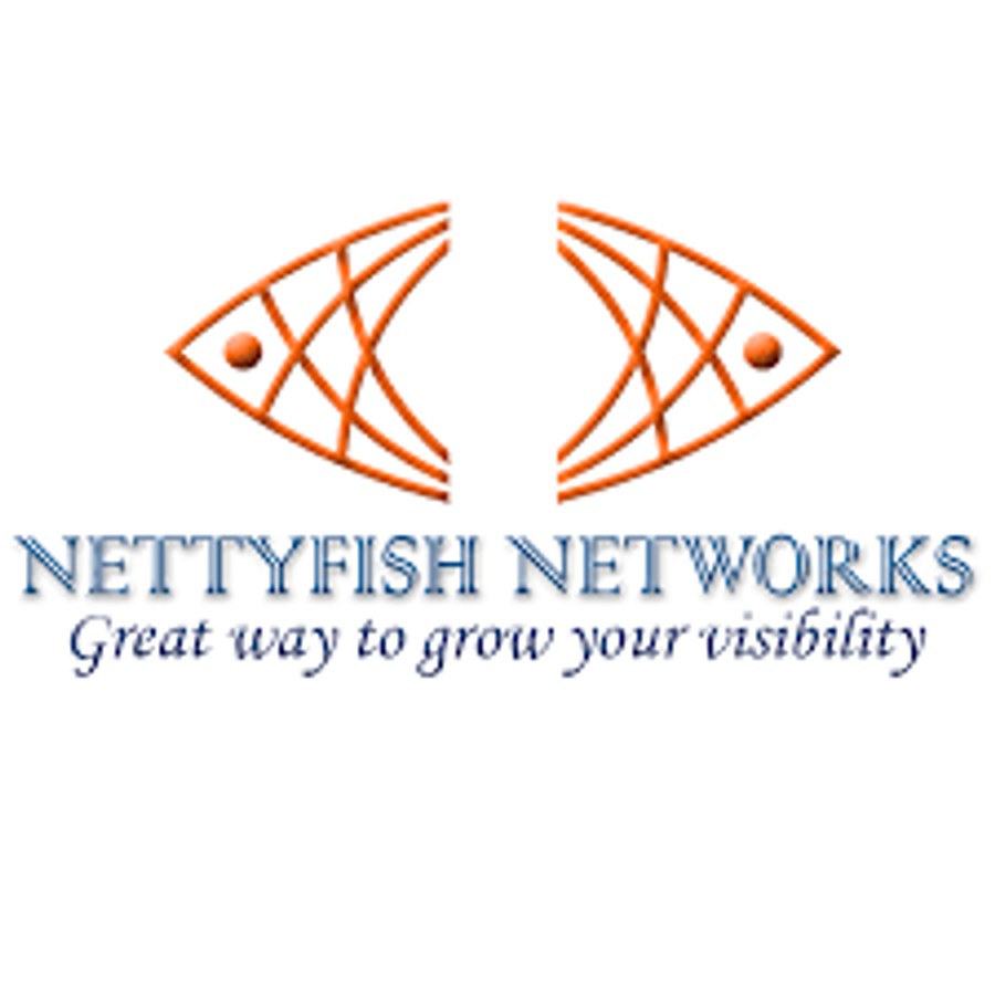Corporate Sales at Nettyfish Networks, Chennai